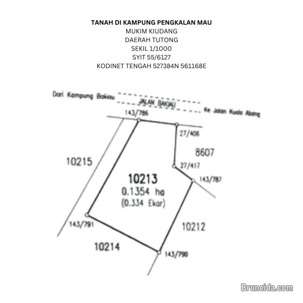 Land For Sale - image 1