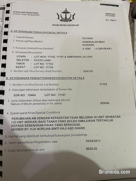 Land For Sale 2 - image 2