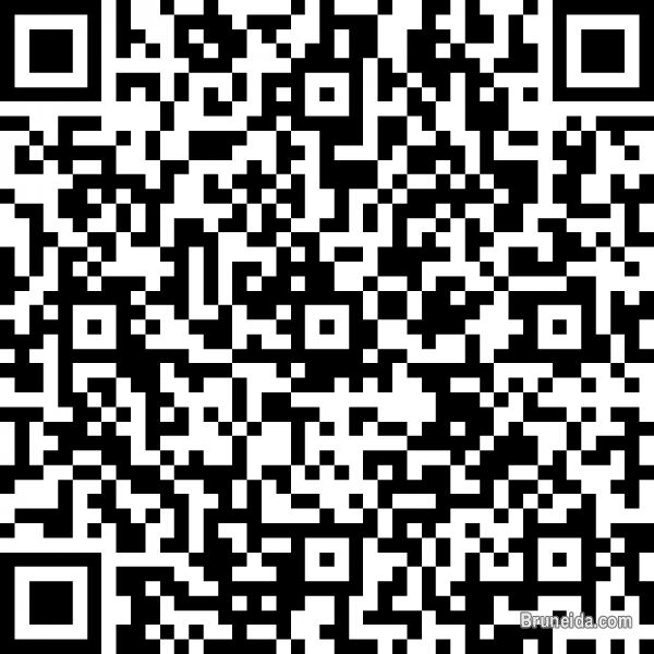 EBRAKAZ'S RUNNER SERVICE - image 1