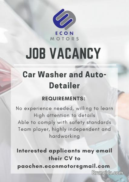 Car Washer & Auto Detailer - image 1