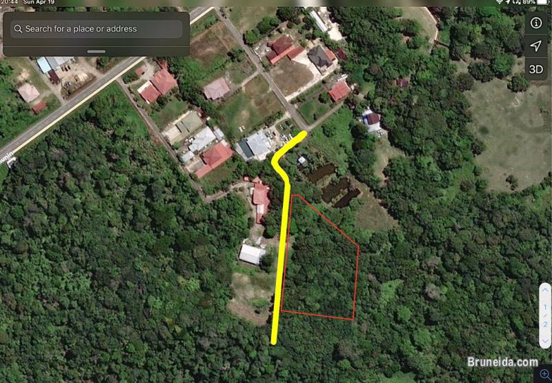 1. 65 acre land for sale in Lamunin - image 3