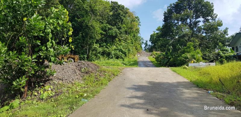 1. 65 acre land for sale in Lamunin - image 4