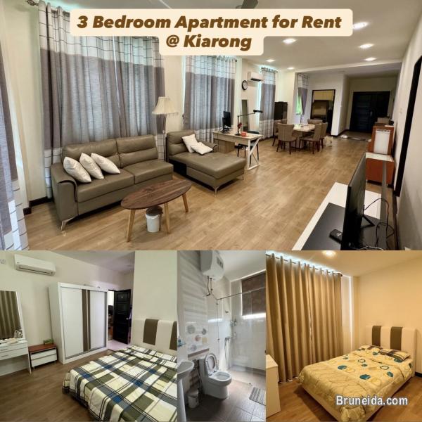 APARTMENT FOR RENT @ KIARONG - image 1