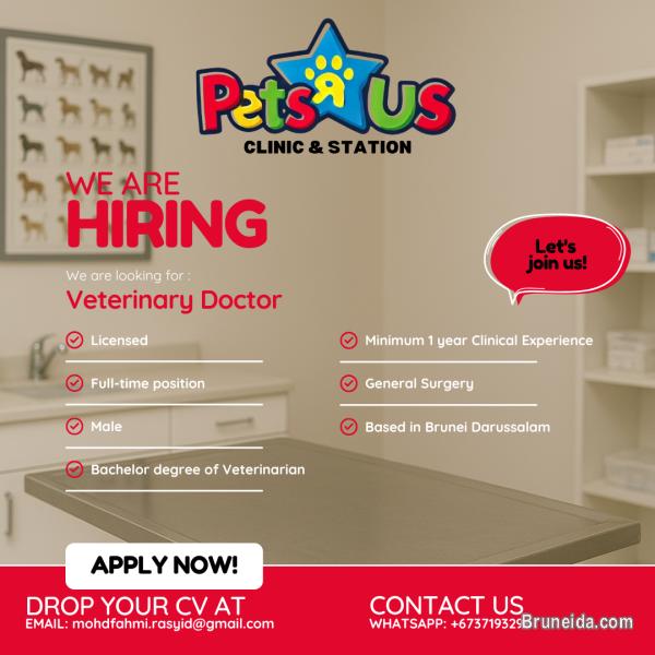 Hiring Veterinary Doctor - image 1
