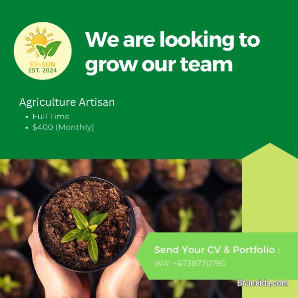 Agriculture Artisan - image 1