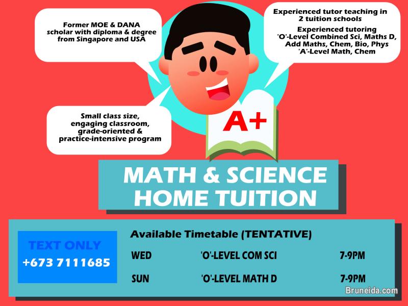 Math & Science Home Tuition - image 1