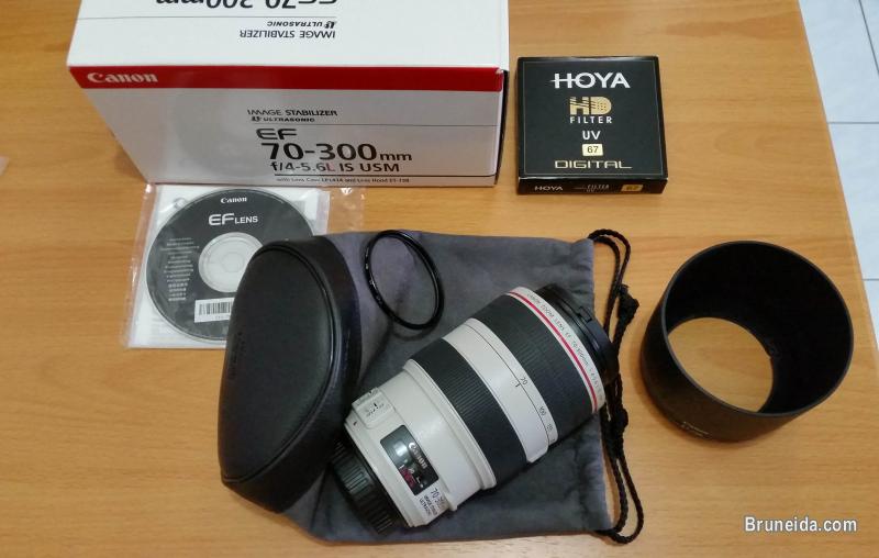 Canon EF 70-300mm f/4-5. 6L IS USM Lens - image 1