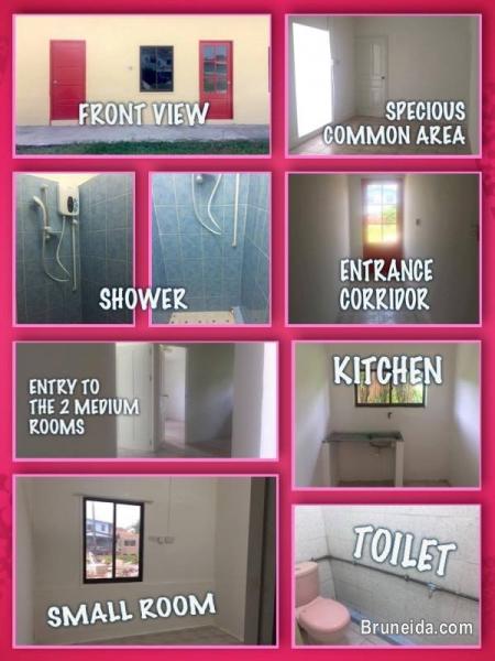 Newly renovated rooms for rent. - image 1