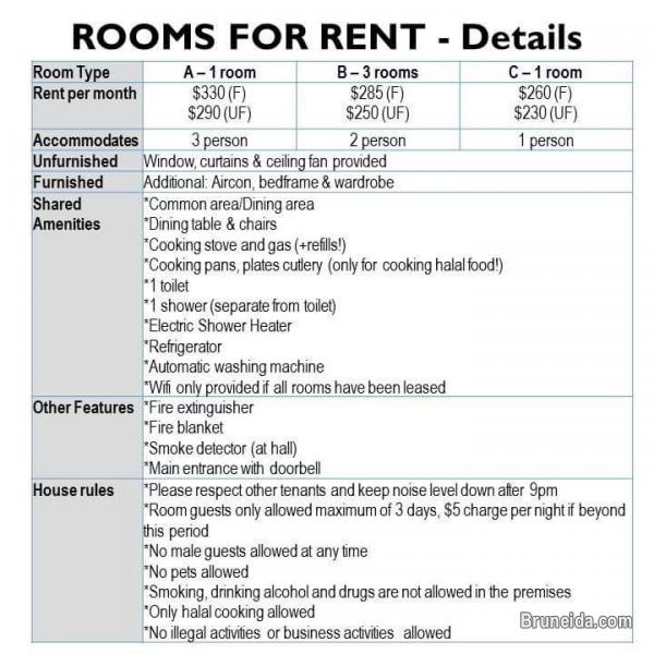 Newly renovated rooms for rent. - image 2