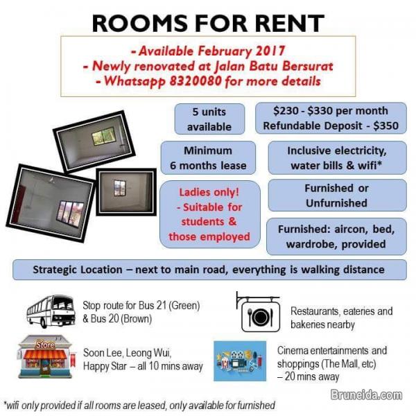 Newly renovated rooms for rent. - image 3