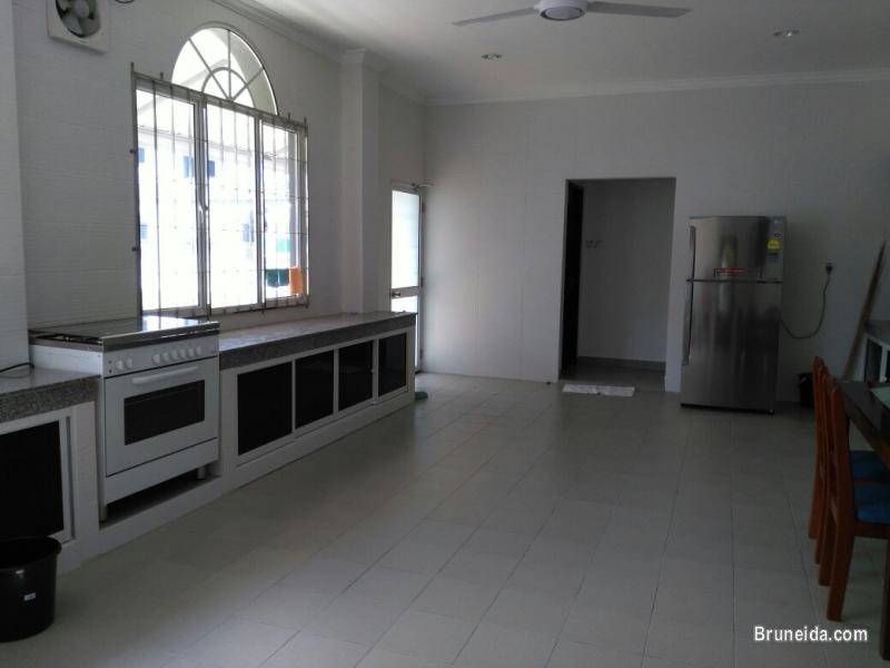 New Detached House for Rent - image 5