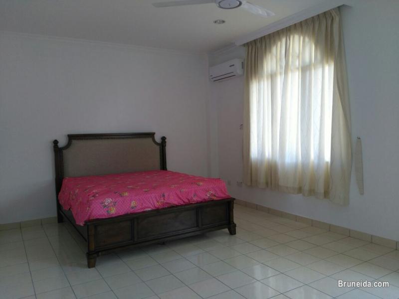 New Detached House for Rent - image 8