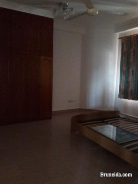 House for rent near ISB - image 5