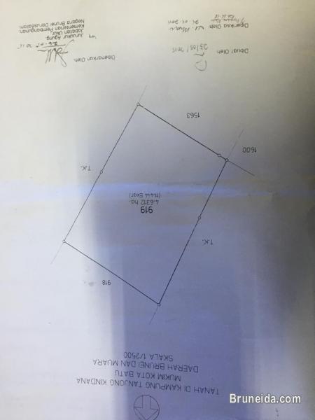 Pulau Tanjung Kindana - image 1