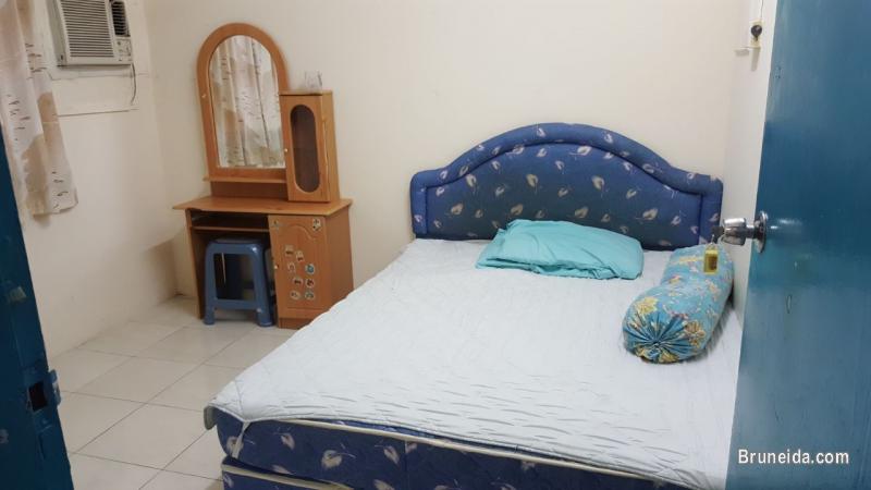 Couple Looking for couple housemate (urgent) from January, 2018. - image 1