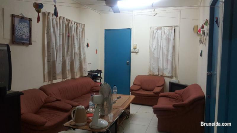 Couple Looking for couple housemate (urgent) from January, 2018. - image 2