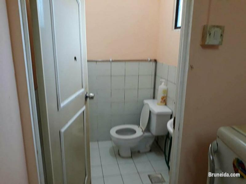 Couple Looking for couple housemate (urgent) from January, 2018. - image 4