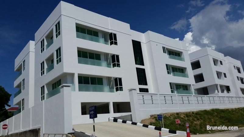 For Sale: PRIME LOCATION, Manggis Apartment, 1 minute from Shoppi - image 3