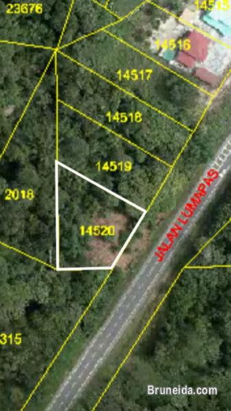 NEW Road Frontage Detached Link House(Lumapas) - image 2