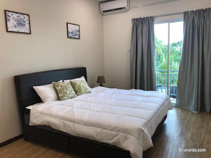 Newly renovated FF 2 bedroom apartment for rent - image 2