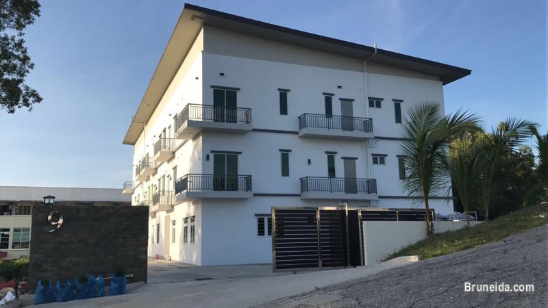 Newly renovated FF 2 bedroom apartment for rent - image 6