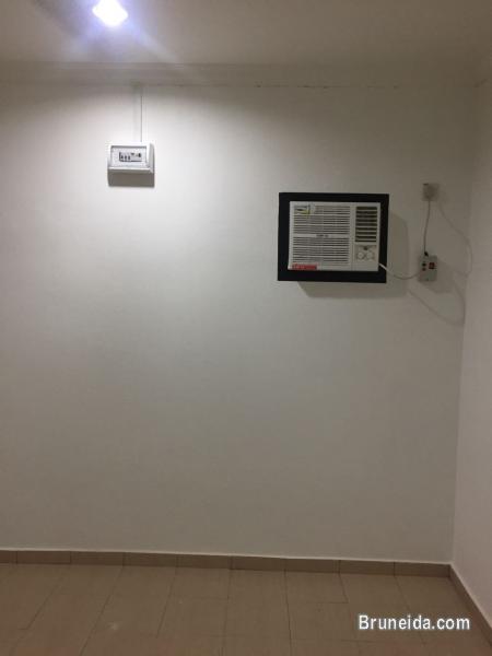 House for rent - image 1