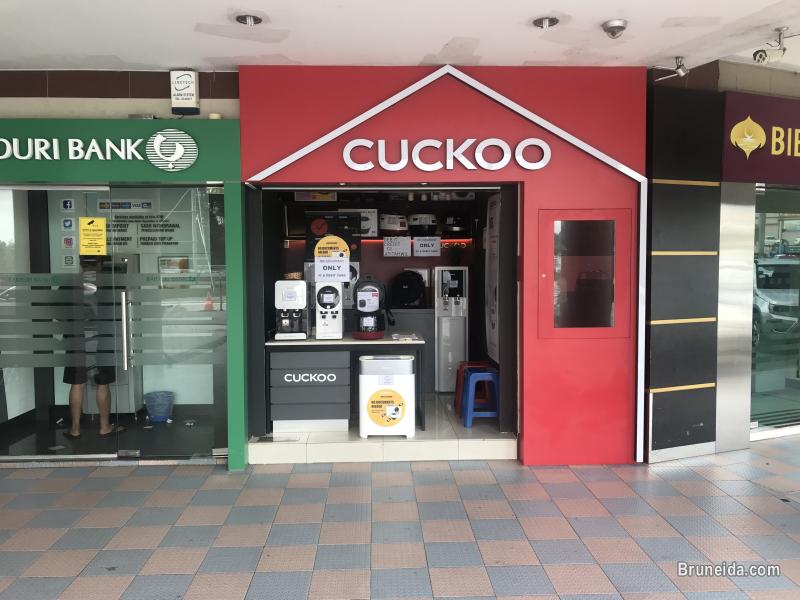 Saleman cuckoo - image 1