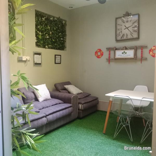 Office For Rent At Office In A Garden - image 2