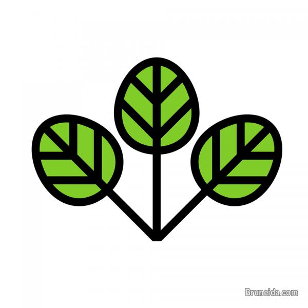 Business Address Basic FL - image 1