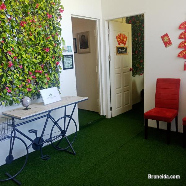 Co-Working S - image 2