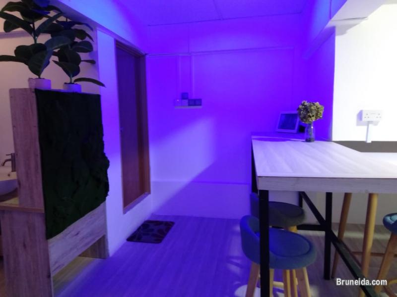 Flexi Desk - image 4