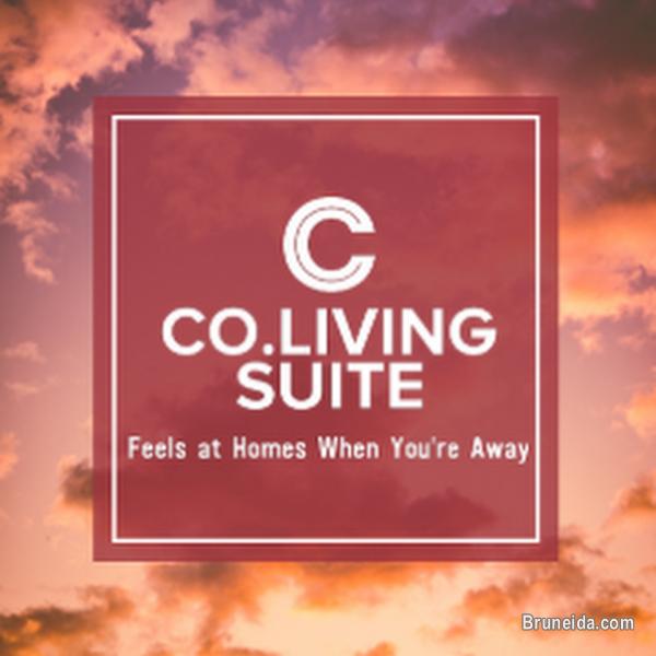 Room Suite 101 For Rent - image 2