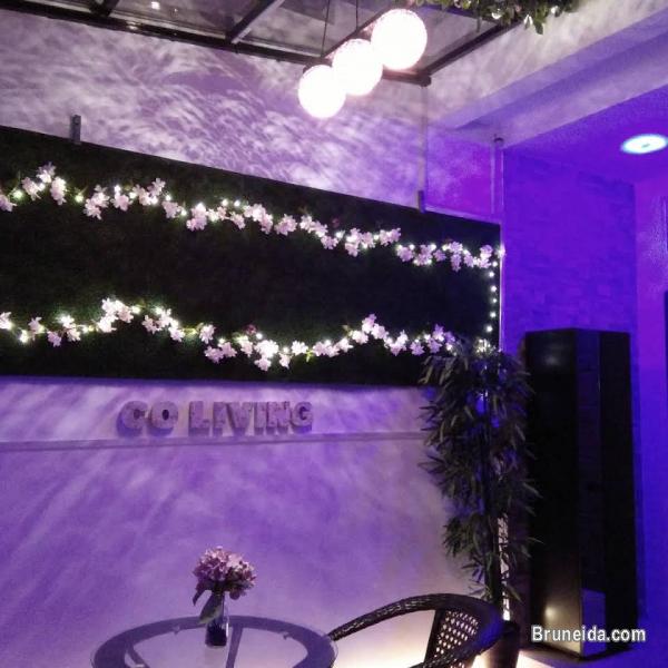 Room Suite 104 For Rent - image 3