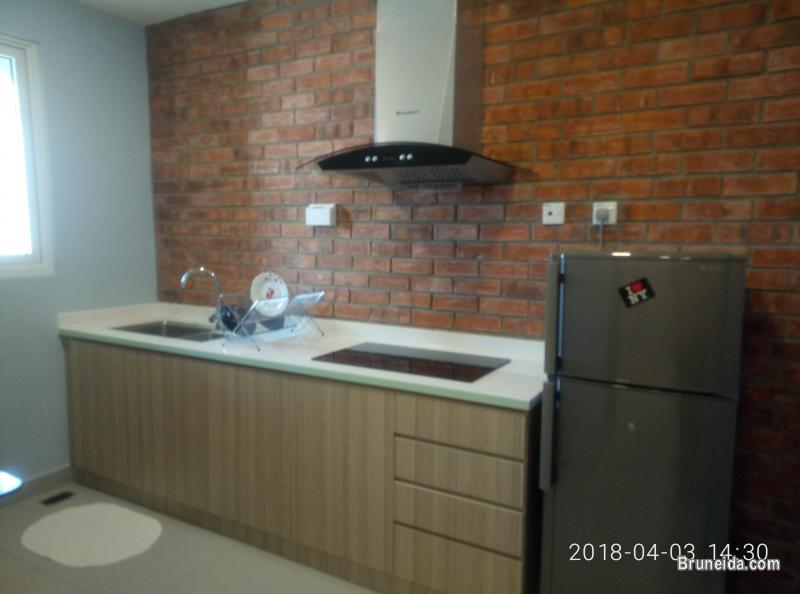 Lovely Modern Apartment for Singles or Couples - image 1