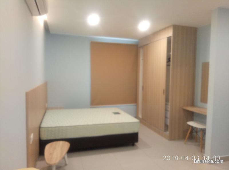 Lovely Modern Apartment for Singles or Couples - image 4