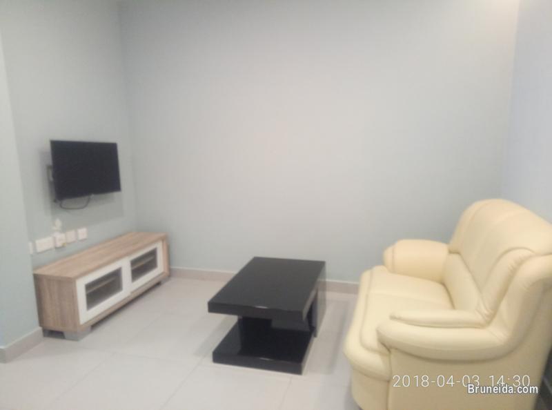 Lovely Modern Apartment for Singles or Couples - image 5