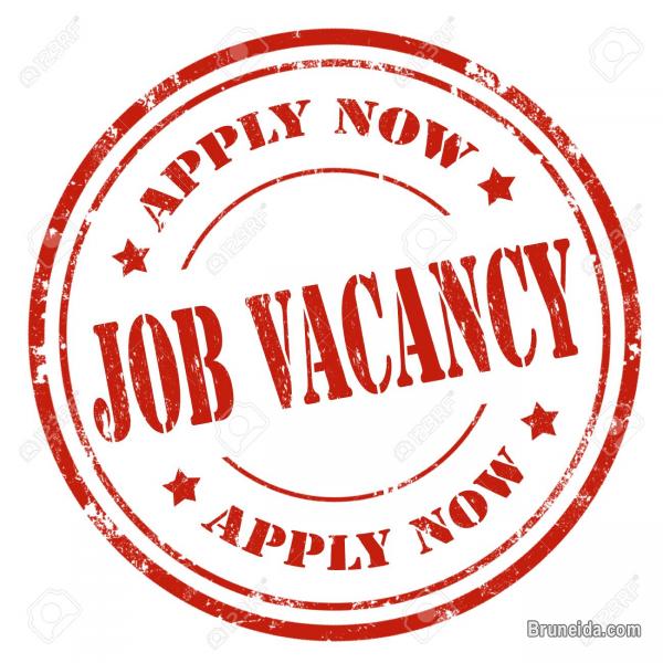 Wanted: Surveyors (Temporary) - image 1