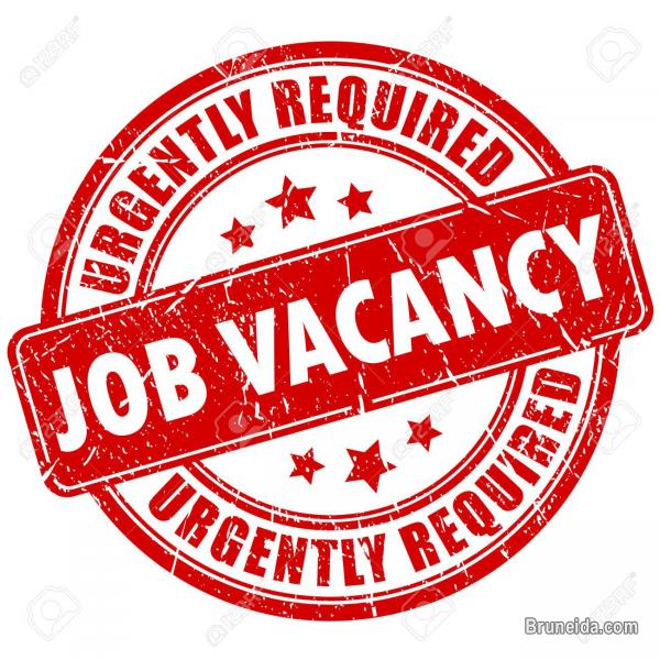 Marketing Executive - image 1