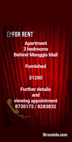 Apartment for Rent - image 1