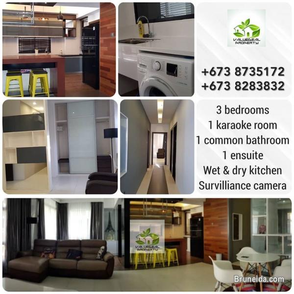 Pictures of Fully furnished apartment for rent
