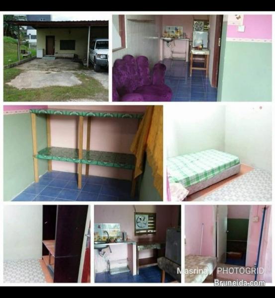 House For Rent - image 1