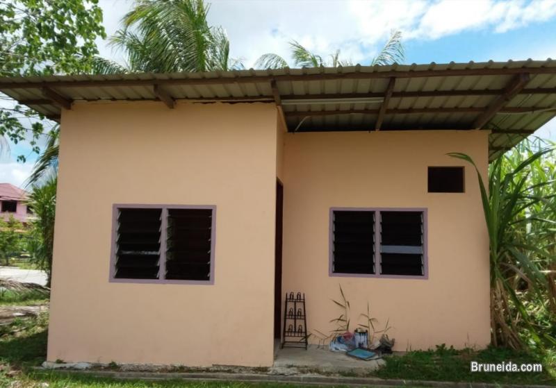 House For Rent - image 1