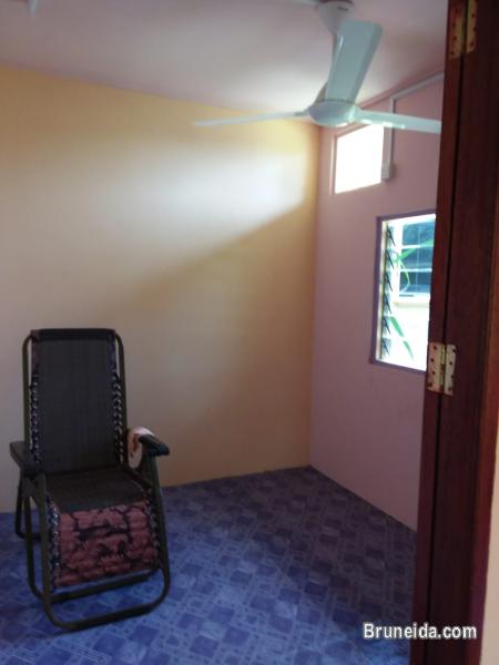 House For Rent - image 4