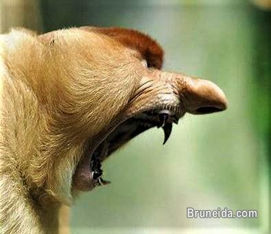 Storyboard Artist's - image 1