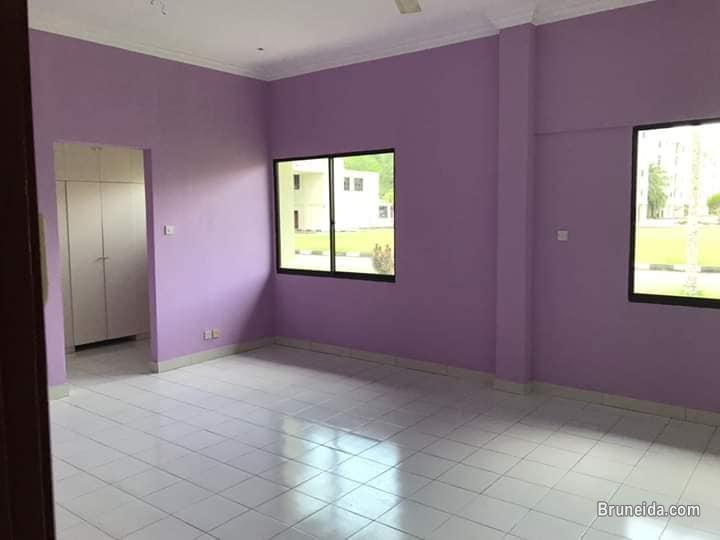 Emadin Contractor - image 4