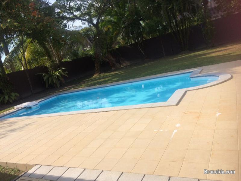 GREAT OFFER! 4 BEDROOM w/ SWIMMING POOL for RENT! - image 12