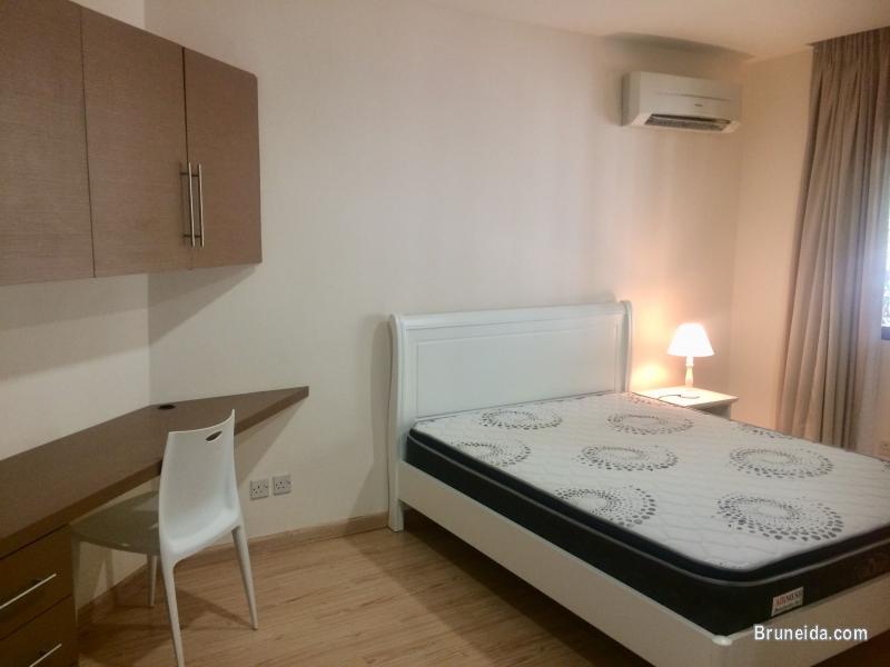 GREAT OFFER! 4 BEDROOM w/ SWIMMING POOL for RENT! - image 8