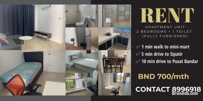 New Two bedroom Apartment for Rent - image 1