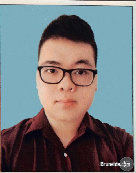 Looking For Accounts Related job - image 2