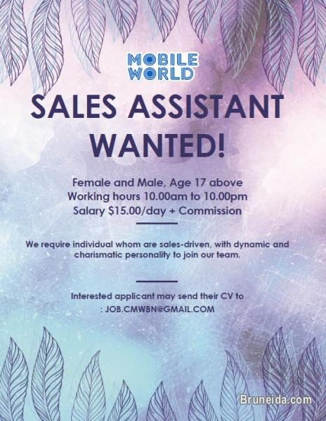 Pictures of Sales Assistant